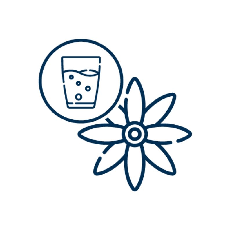 Flavours for beverages